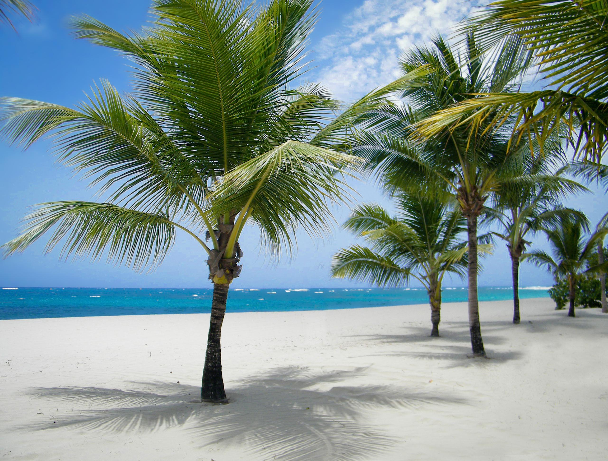Viva Heavens By Wyndham, A Trademark All Inclusive (Adults Only) Puerto Plata Buitenkant foto