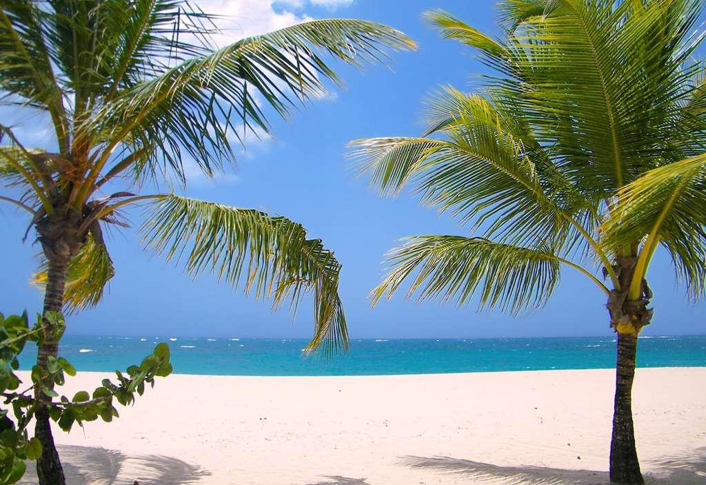 Viva Heavens By Wyndham, A Trademark All Inclusive (Adults Only) Puerto Plata Natuur foto
